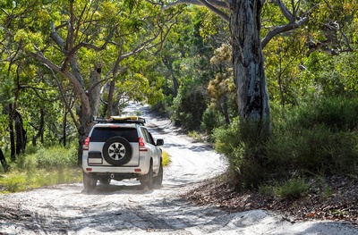 Fraser Island - 4WD full day tour - Queensland i Australien