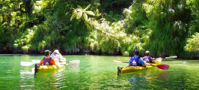 Kayaking Queens Charlotte Sound